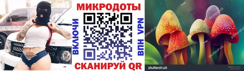 Галлюциногенные грибы Psilocybe  где купить наркотик  Вяземский 